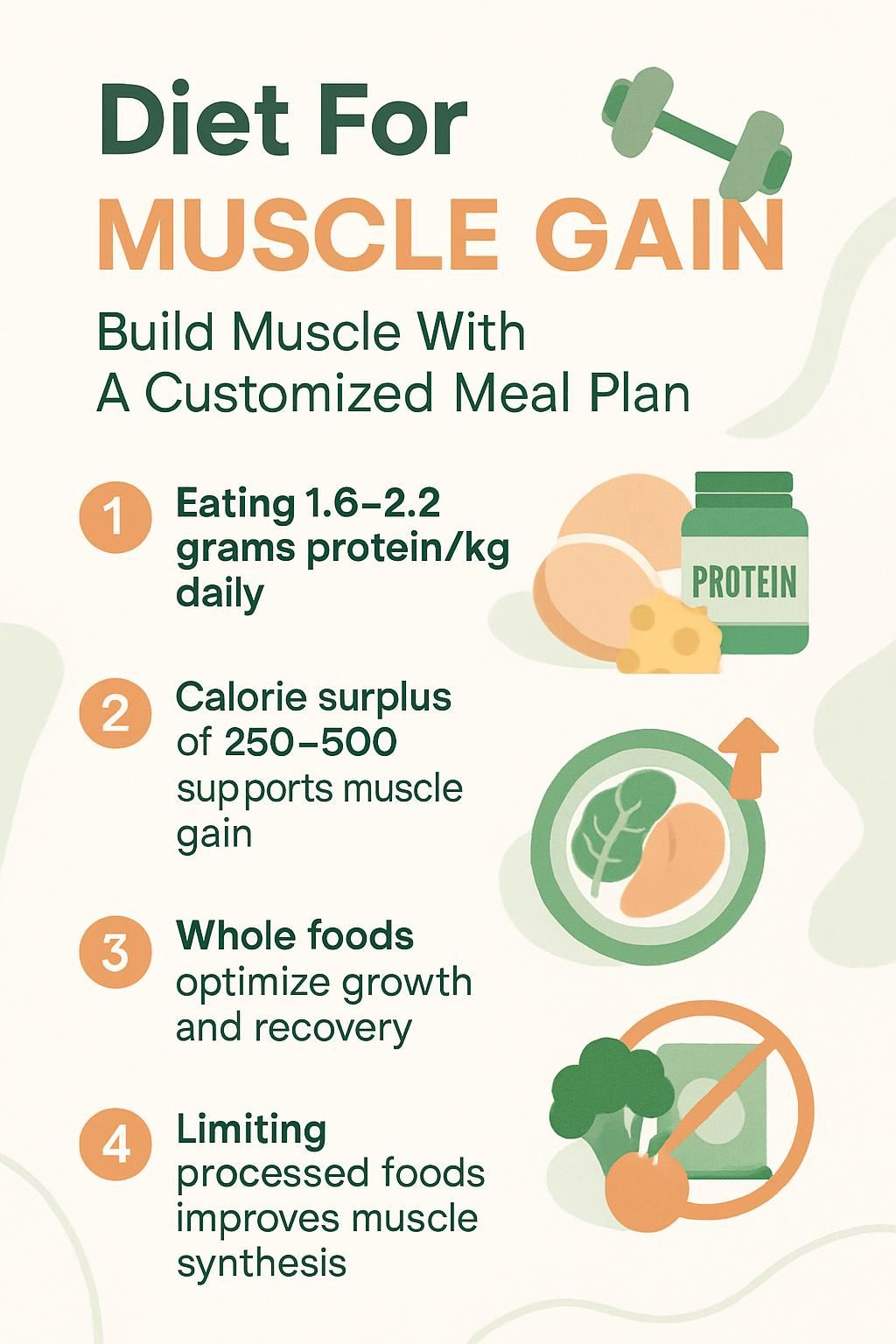 Infographic summarizing muscle gain diet steps.